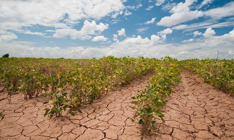 ¿Por qué es tan importante optimizar el riego agrícola?
