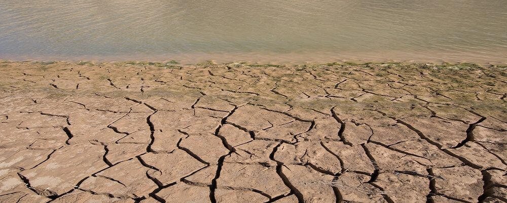 La sequía en España y sus efectos en la agricultura