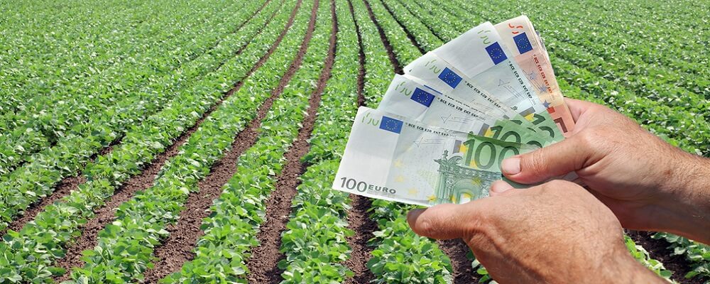 Actividades agrícolas ¿Cómo realizar la Declaración de la Renta?