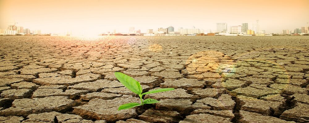 Cómo influye el cambio climático en la agricultura