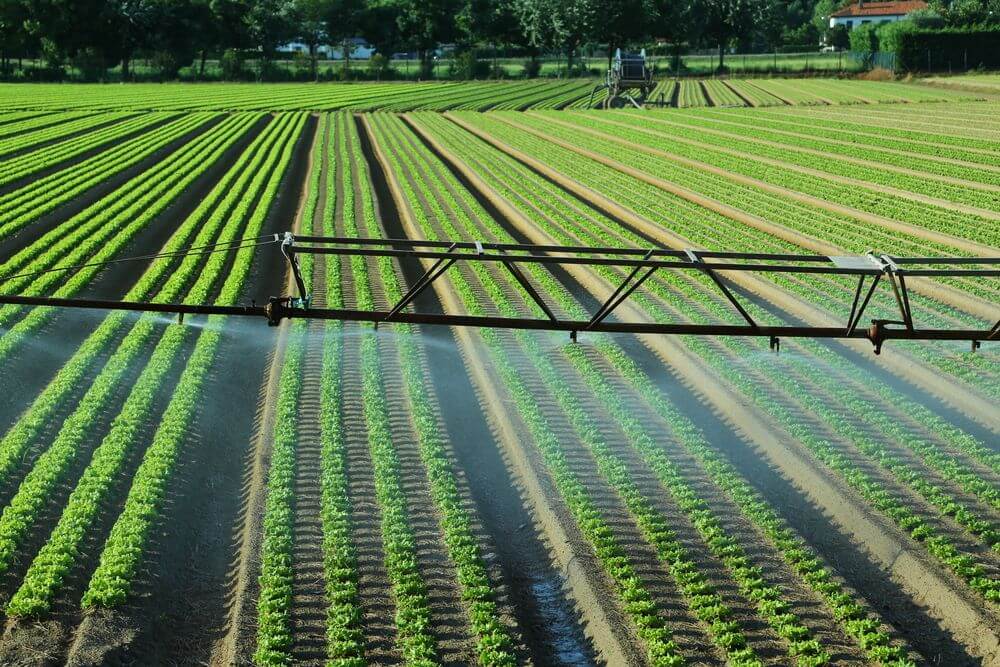 Sistema de riego agrícola sistema agrícola automatizado con