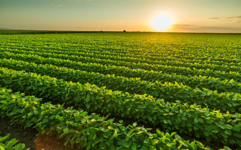 Ventajas De La Agricultura De Precisión | Agbar Agriculture