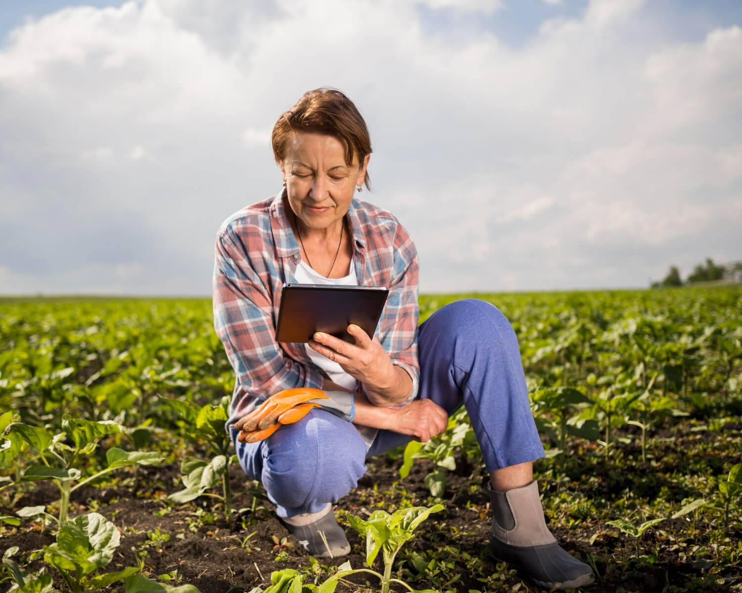 Importancia de la digitalización en el sector agrícola.